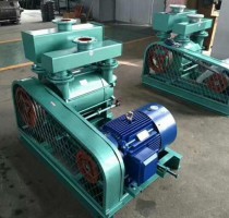 山東(dong)2BE水環真空(kōng)泵