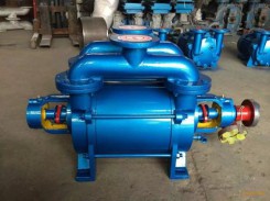 山東(dong)SK水環真空(kong)泵