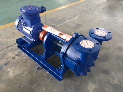 山(shan)東2BV水環式(shì)真空泵