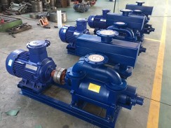 山東(dōng)水環真空(kōng)泵