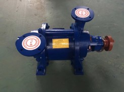 山(shān)東SZ水環式(shi)真空泵