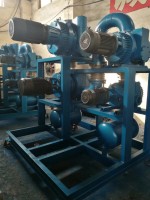 山東羅(luó)茨水環真(zhen)空機組